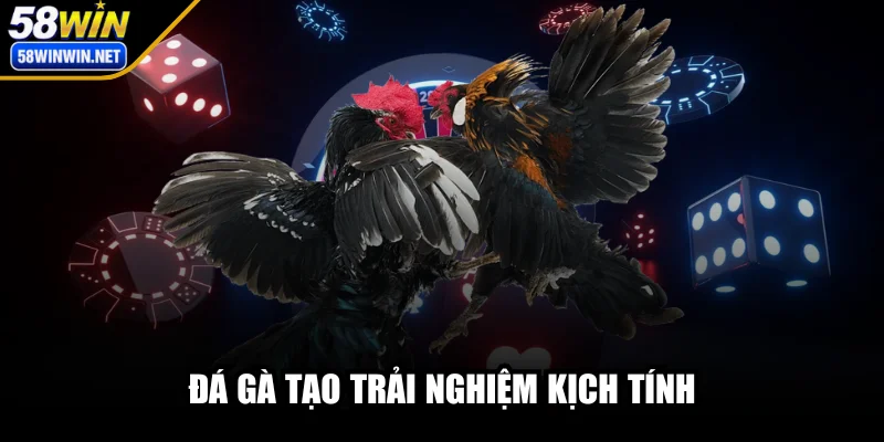 58win-da-ga