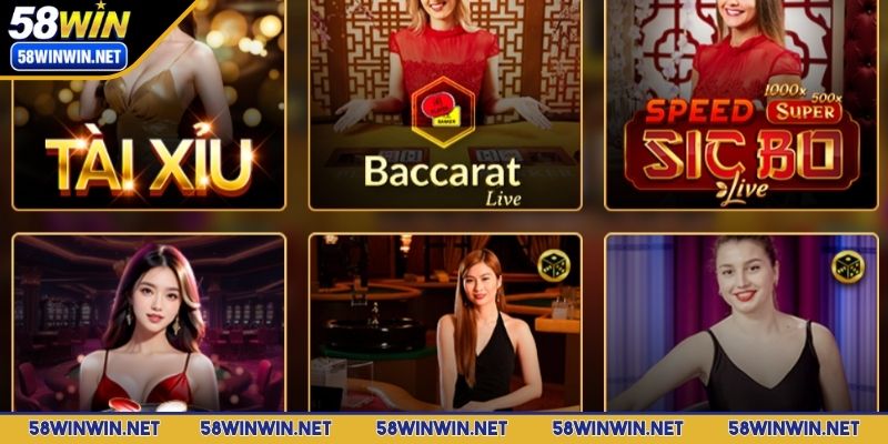 casino-58win-thiet-ke