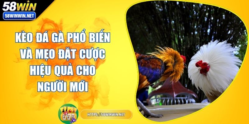 keo-da-ga