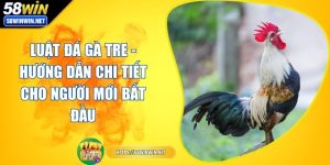 luat-da-ga-tre