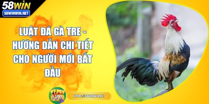luat-da-ga-tre